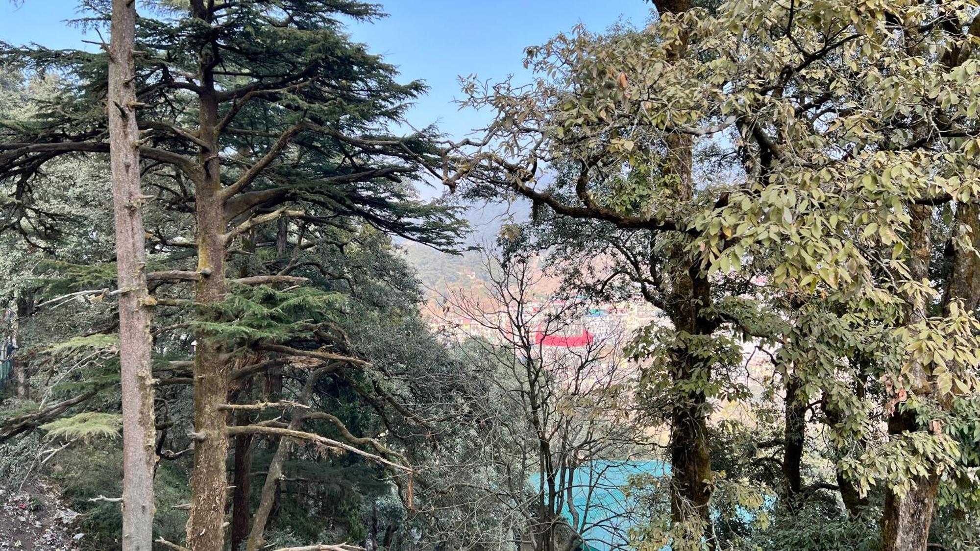 Hotel Pride Inn - 800 Mts From Mall Road Mussoorie Zewnętrze zdjęcie