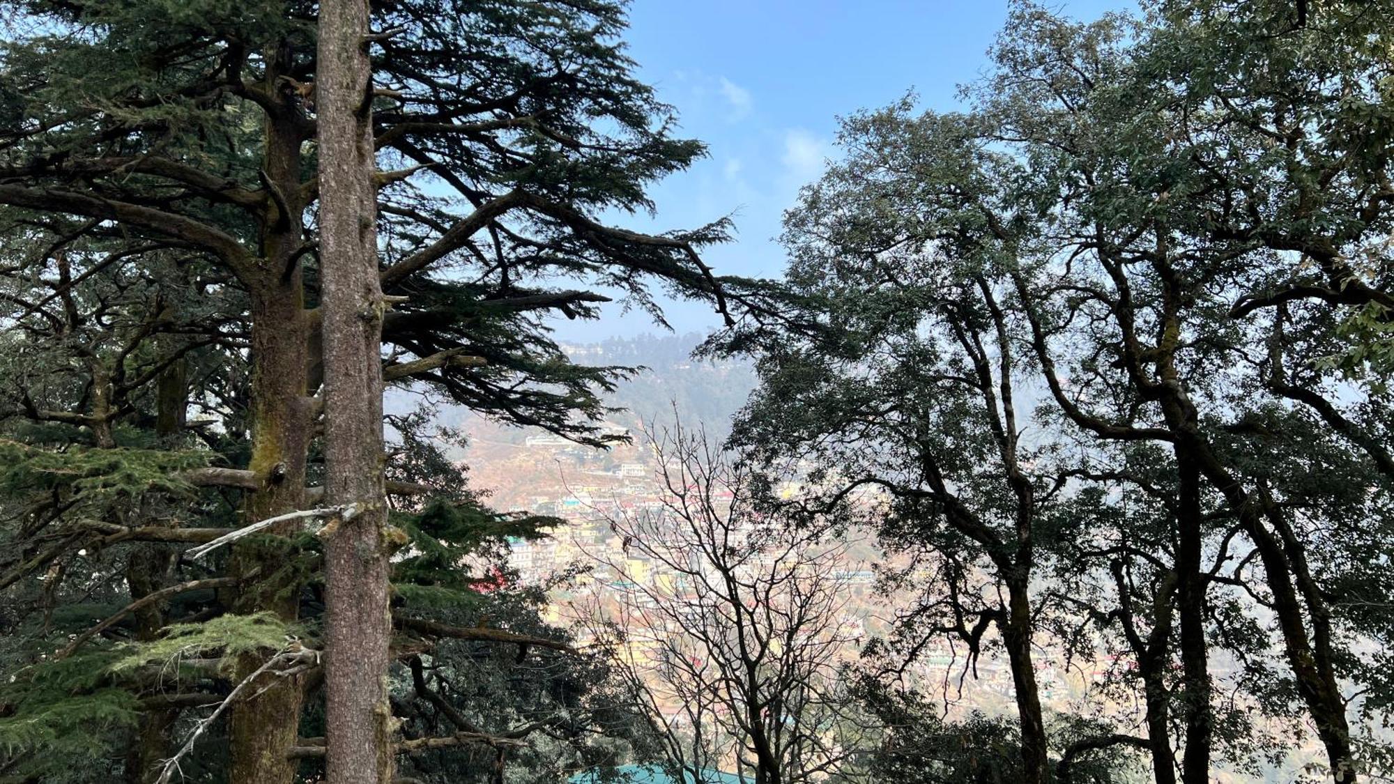 Hotel Pride Inn - 800 Mts From Mall Road Mussoorie Zewnętrze zdjęcie